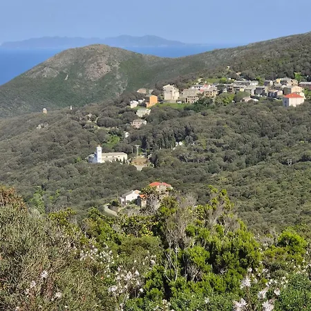 T2 Ocagnano * Sorbo-Ocagnano