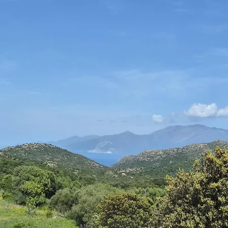 T2 Ocagnano *